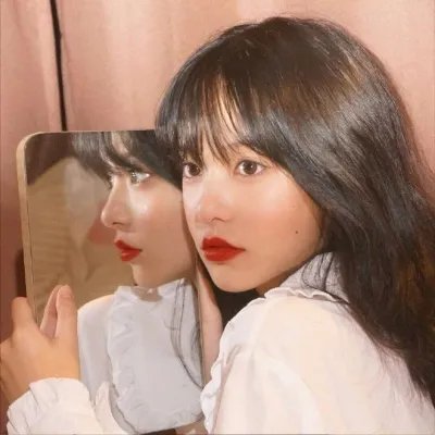 玫瑰骑士
