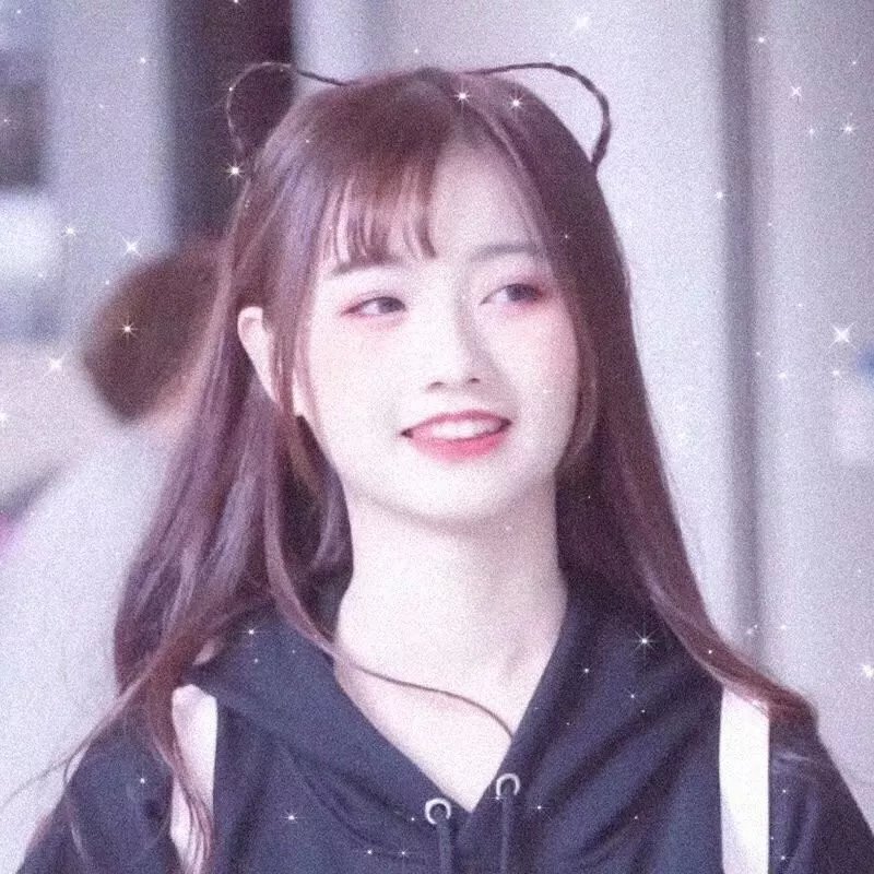 鸟儿们的奇幻冒险